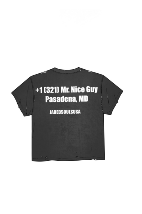 Mr. Nice Guy Tee